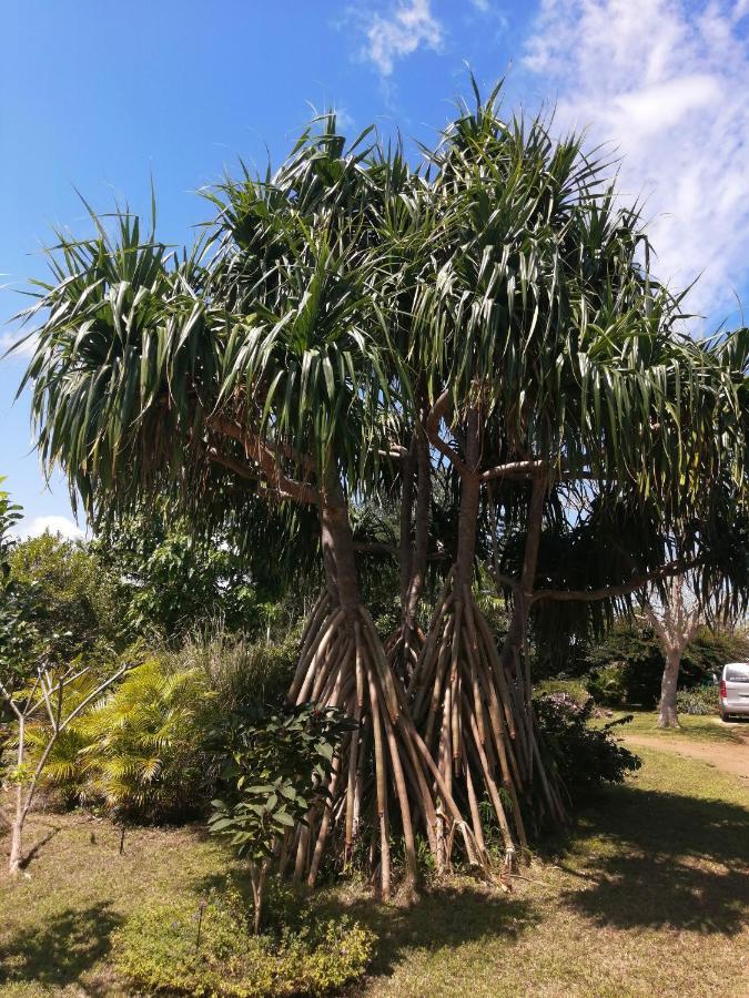 Niaouli Lodge Bourail Luaran gambar